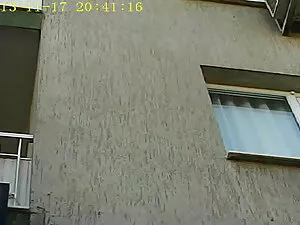 自家製の膣肛門seとともに若い雌犬 女の ...